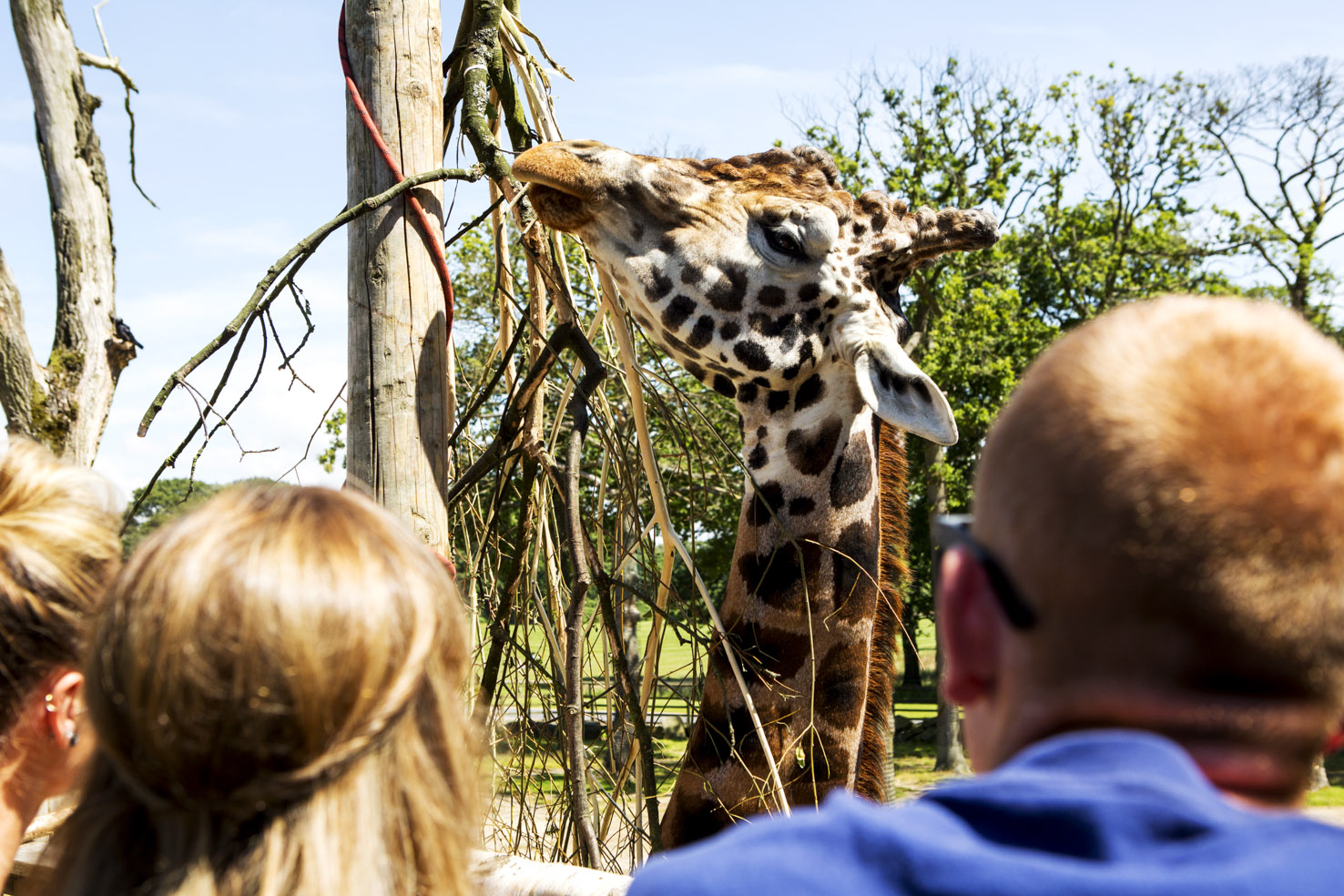 Places to visit in Knowsley